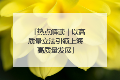 热点解读｜以高质量立法引领上海高质量发展
